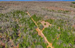 2480 County Road, Wasola, MO 65773
