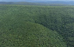 Kiamichi Mountain Ridge, Muse, OK 74949