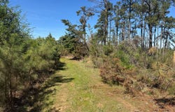 Duck Hill Ranch Road, Duck Hill, MS 38925
