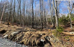 135 Lakeledge Circle, Beech Mountain, NC 28604