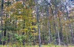 Pleasant Mount Drive, Forest City, PA 18421