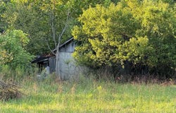 475 County Road 157, Des Arc, MO 63636