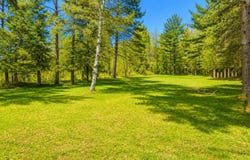 10150 CYPRESS ST, Ross, WI 54511