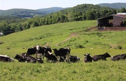 Yonderview Road, Hillsdale, NY 12529