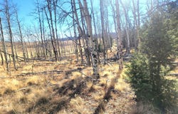 8802 Ranch Road, Hartsel, CO 80449