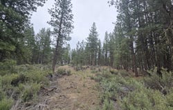 Elde Street, Chiloquin, OR 97624