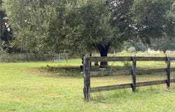 1933 SE 155TH Street, SUMMERFIELD, FL 34491