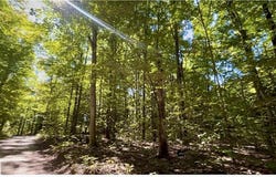Langs Lane, Interlochen, MI 49643