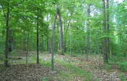 County Road 830, Thornfield, MO 65762