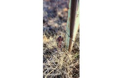 110 Acres 180 & 180A, Concho, AZ 85924