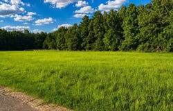 County Road 260, BRUCE, MS 38915