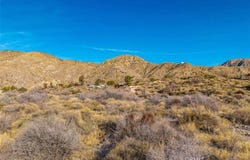 Palo Verde Road, Morongo Valley, CA 92256