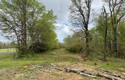 Mississippi 7, Holly Springs, MS 38635