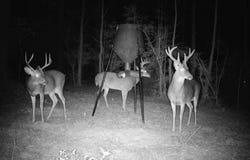 SE Pleasant Grove Road, Ruth, MS 39662