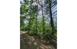 2195 Lake Drive, Mio, MI 48647