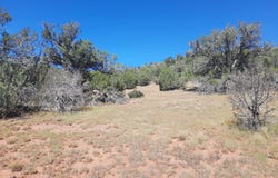 30260 W Circle Drive, Seligman, AZ 86337