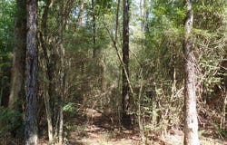 415 County Road 580, Call, TX 75933