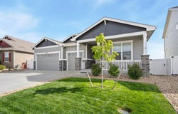 1829 Holloway Dr, Windsor, CO 80550