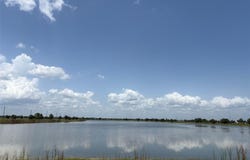 45 SUNFLOWER Drive, PLACIDA, FL 33946