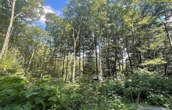 126 Downing Road, Topsham, VT 05076