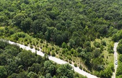 Mills Valley Boulevard, Marshfield, MO 65706