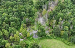 McAdams Road, Greenfield, TN 38230