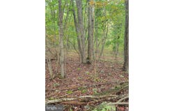 BEAR Road, DELRAY, WV 26714