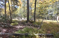 6149 Victoria Drive, Tobyhanna, PA 18466