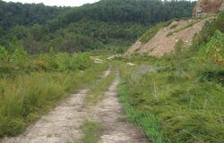Trace Fork (DB 229, DP 267), Gunlock, KY 41632