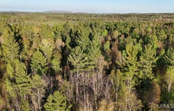 LOT 12 CARP CREEK DRIVE, ISHPEMING, MI 49849
