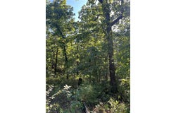 Tract 4 SE 1083 Rd AVE, Red Oak, OK 74563
