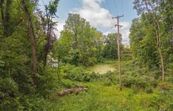 6000 McIntire Court, Tipton, MI 49287