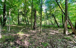 N Bay Shore Rd, Brussels, WI 54204