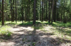 Skyline Way, Libby, MT 59923