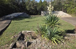 Cherokee Village, AR 72529