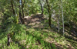 360 Rincon WAY, BOULDER CREEK, CA 95006