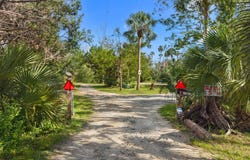 414 SE Central Ave, Steinhatchee, FL 32359