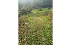 799 Pearl Hill Rd, Delbarton, WV 25670