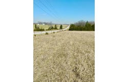 State Highway 83, Weaubleau, MO 65774