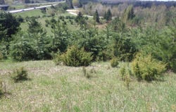 S 39 Road, Cadillac, MI 49601