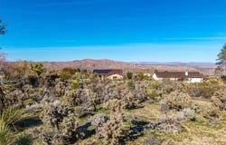 61017 Navajo Trail, Joshua Tree, CA 92252