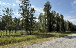 Cohen Road, Pineland, SC 29934