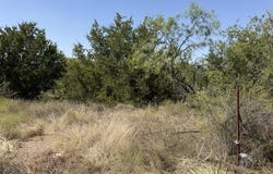 1-4, 5-6 N Grant, Brady, TX 76825