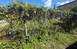 Canovanas, Canovanas, PR 00729
