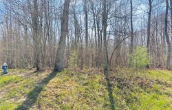 103 ST. PAUL LN, SHADY SPRING, WV 25918