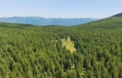 554 Pinkham Road, Rexford, MT 59930