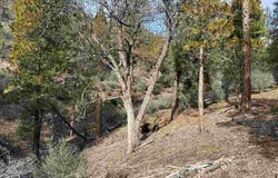Moffet Creek, Fort Jones, CA 96032