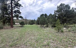 Greer, AZ 85927