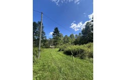 540 Lost Bottom Run Rd, Marlinton, WV 24954