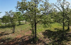 101 Overlook Drive, Cisco, TX 76437